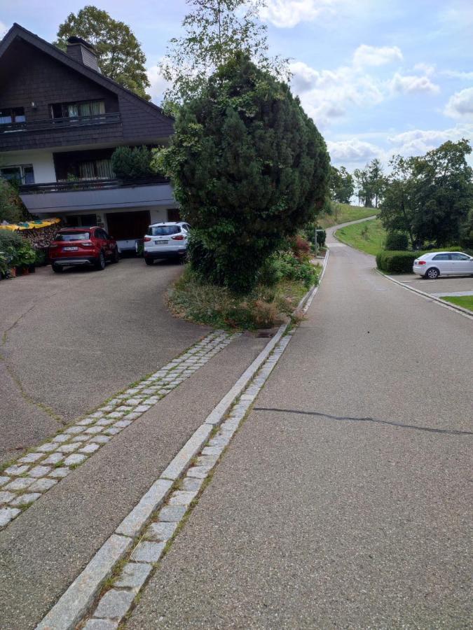 Feldbergsicht Daire Lenzkirch Dış mekan fotoğraf