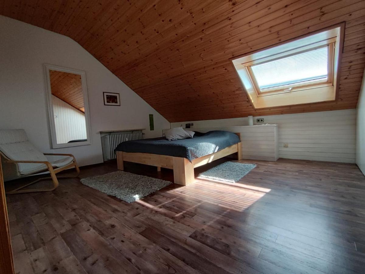 Feldbergsicht Daire Lenzkirch Dış mekan fotoğraf