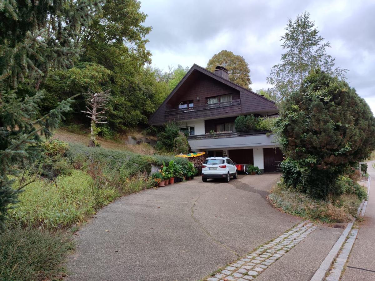 Feldbergsicht Daire Lenzkirch Dış mekan fotoğraf