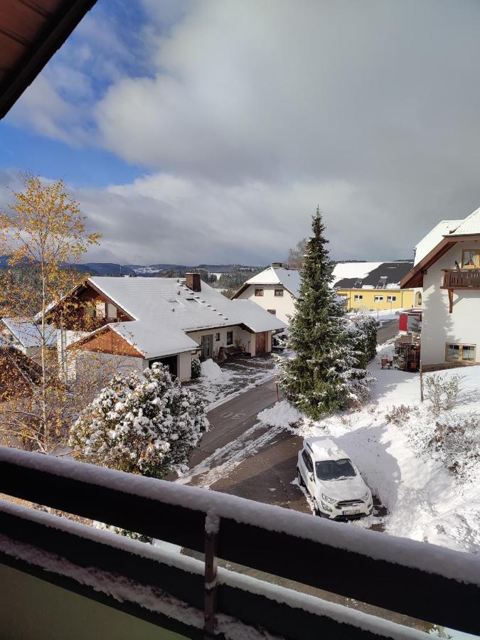 Feldbergsicht Daire Lenzkirch Dış mekan fotoğraf