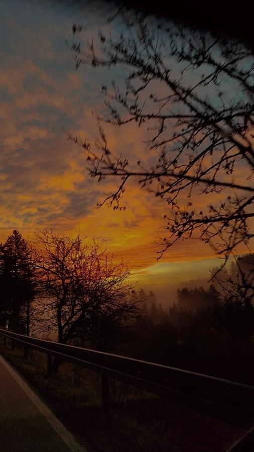 Feldbergsicht Daire Lenzkirch Dış mekan fotoğraf