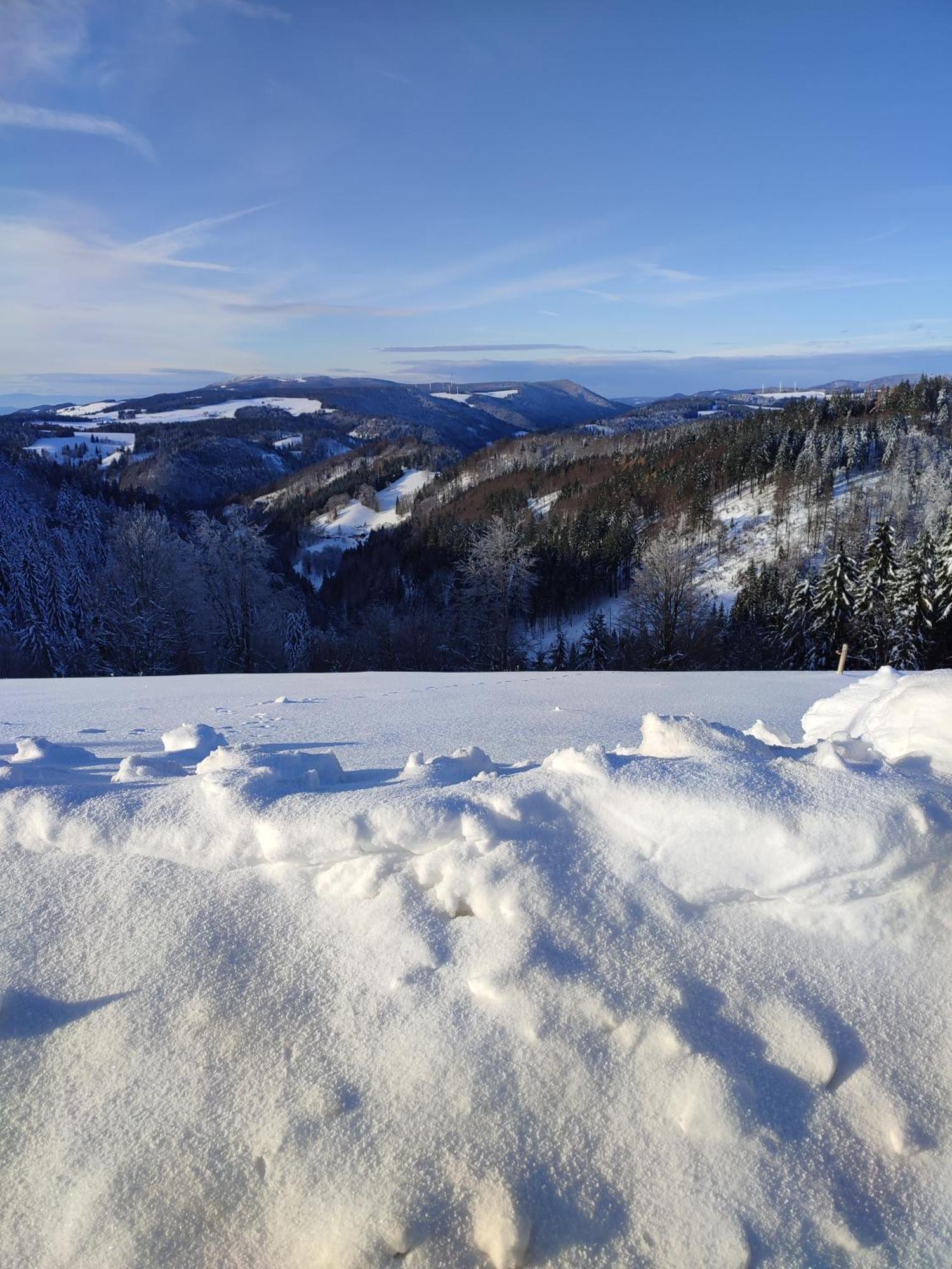 Feldbergsicht Daire Lenzkirch Dış mekan fotoğraf